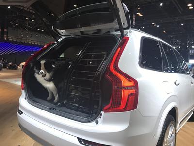 2018 Volvo XC90 Dog Cage